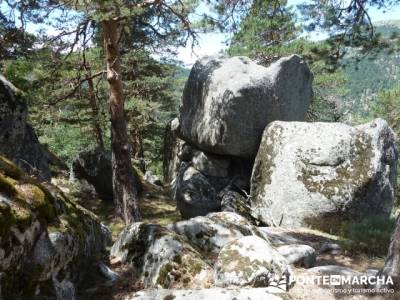 Senda Herreros - Puerto de Navacerrada - Valle de Fuenfría - Ducha de los Alemanes -Embalse Berceas